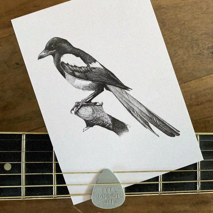 Magpie Melody on a Guitar Fretboard