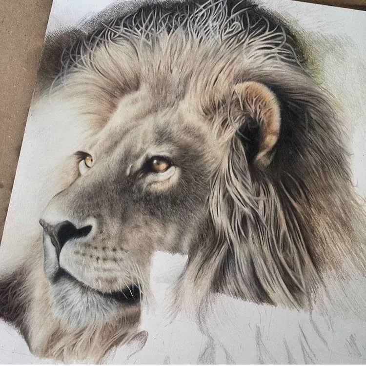 Lion's Gaze: A Study in Detail