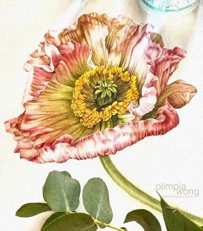 Poppy Warmth in Watercolor by Olimpia Wong