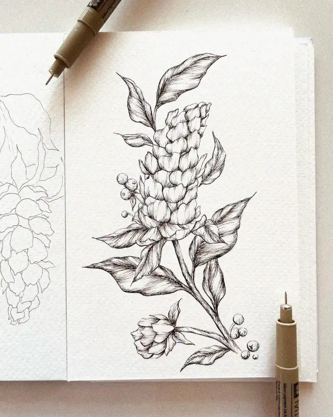 Floral Sketch in Botanical Detail