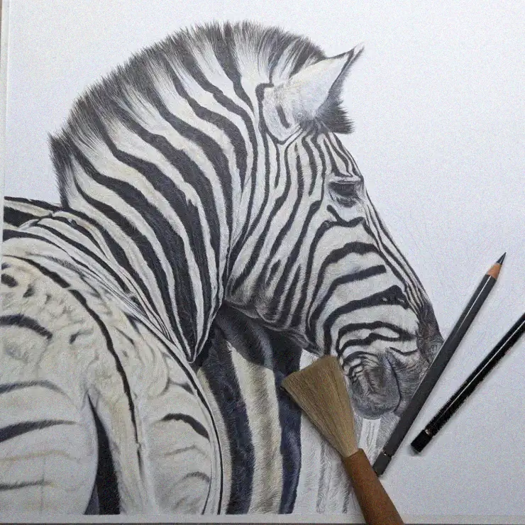 Realism Zebra Artistry in Pencil
