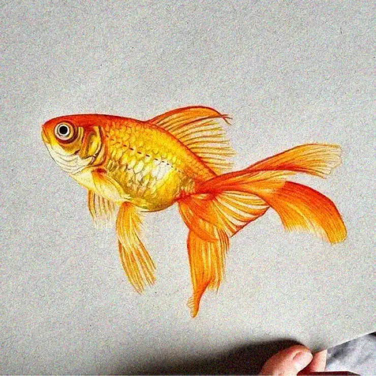Peeling Back Reality: The Goldfish Illusion