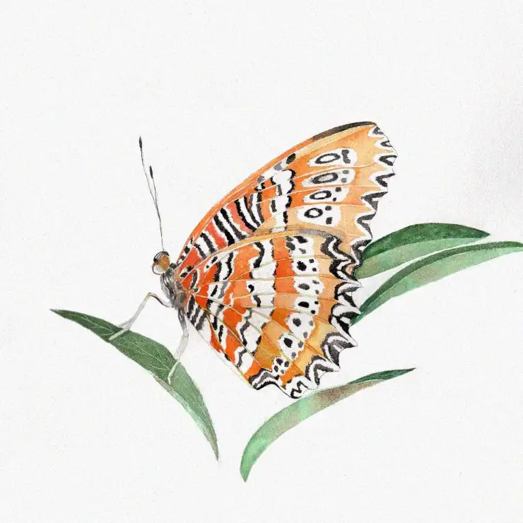 Butterfly's Rest on Emerald Leaves