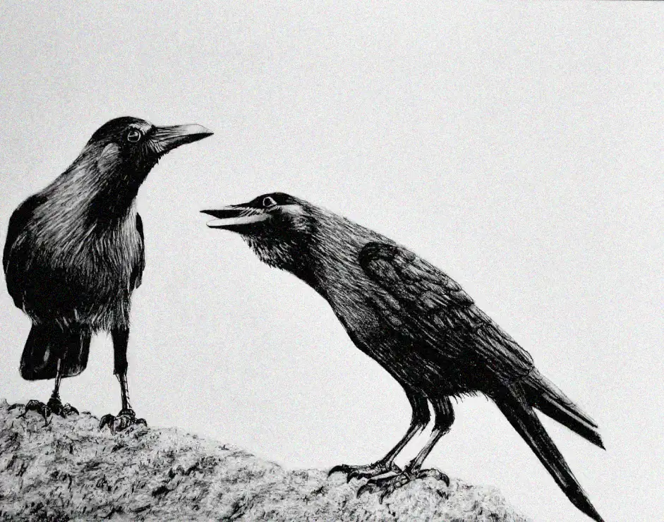 Cawing Crows in Sketched Detail