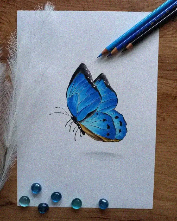 Butterfly Sketch Amidst Artful Serenity