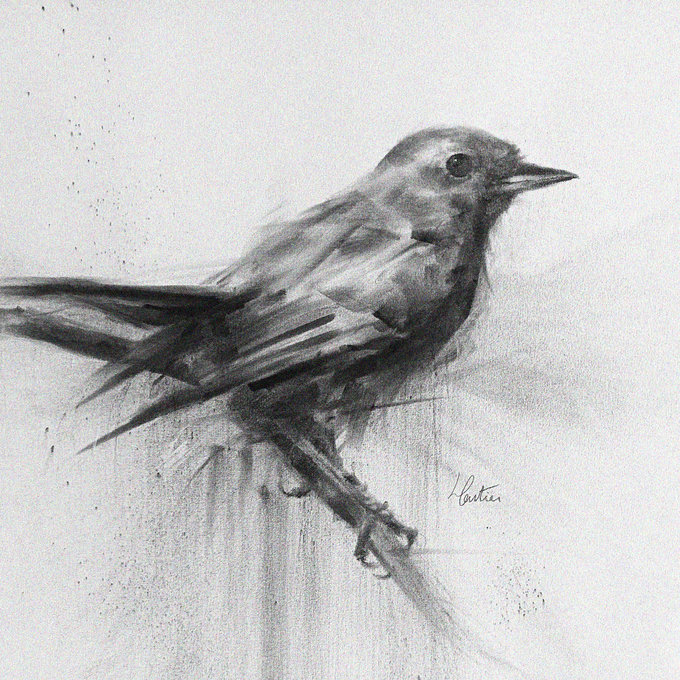 Perched Bird in Monochrome Sketch