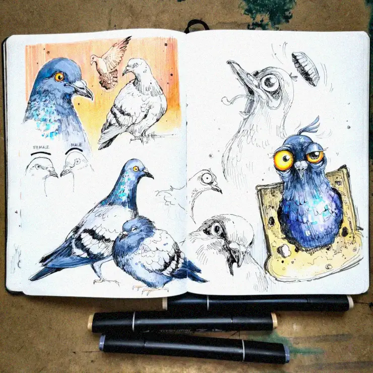 Pigeon Portraits in A Sketchbook's Symphony