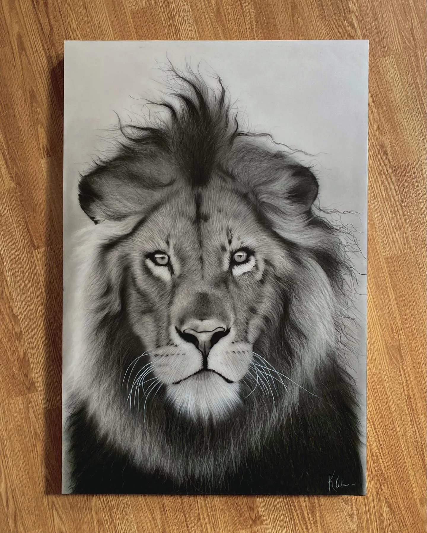 Intense Lion Gaze Captured in Monochrome