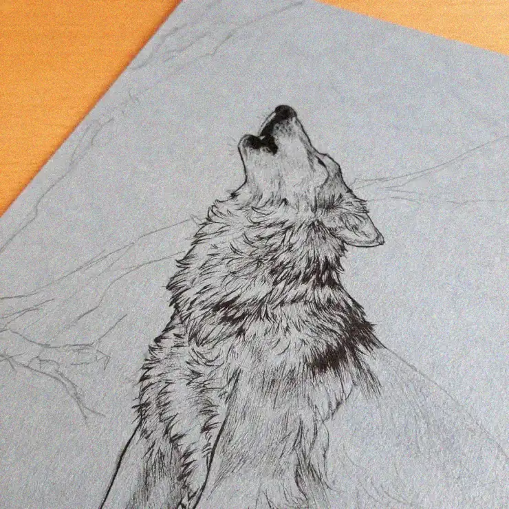Midnight Howl in Monochrome Majesty