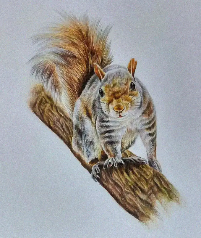 Squirrel Portrait in Natural Serenity