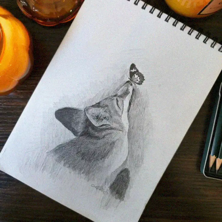Butterfly Whispers in Sketch and Color