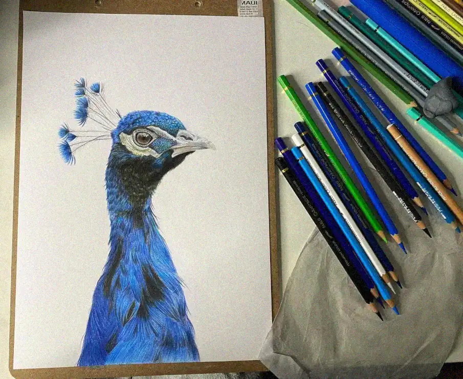 Artistic Revelation: Unveiling the Peacock