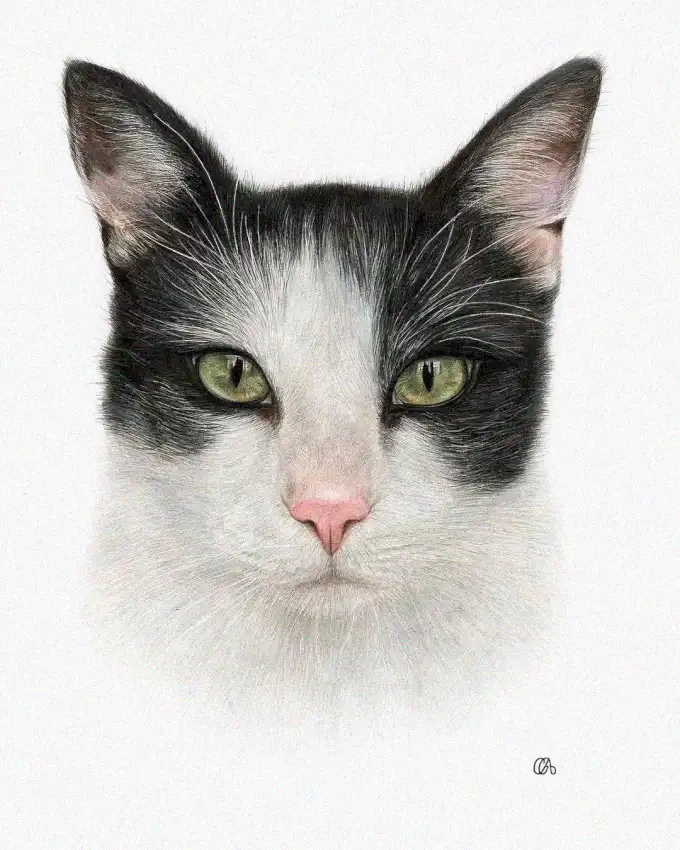Monochrome Feline with Emerald Gaze