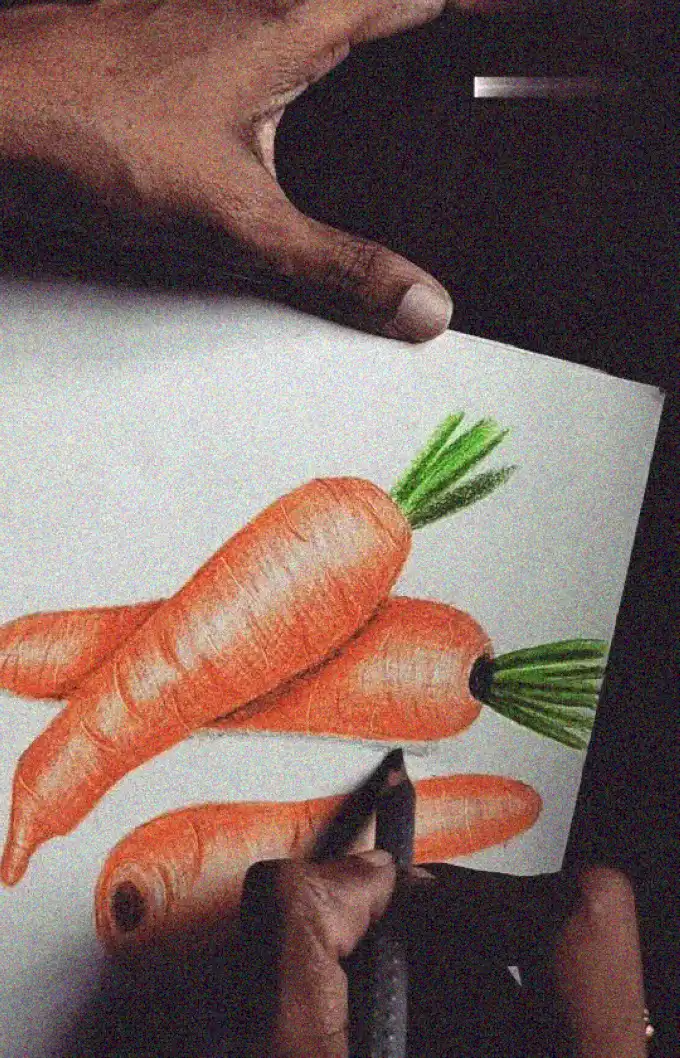 Sketching Lifelike Carrots with a Pencil