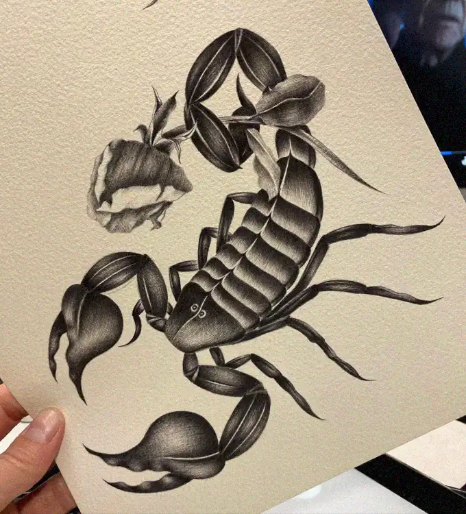 Scorpion Silhouette Among Fallen Petals