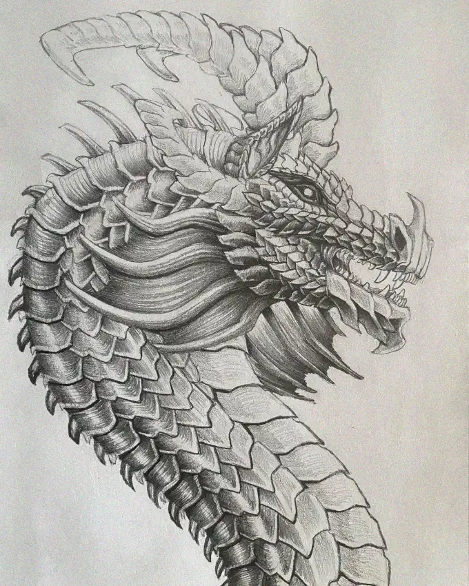 Draconic Details in Pencil