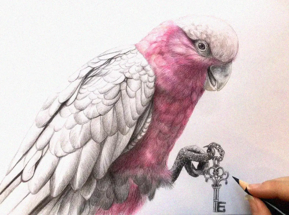 Parrot's Key: A Masterful Artistic Sketch