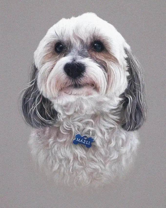 Capturing Mazli, the Fluffy Canine Muse