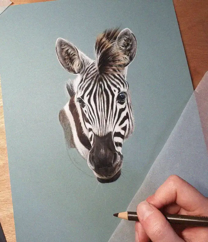 Crafting a Zebra Portrait with Precision