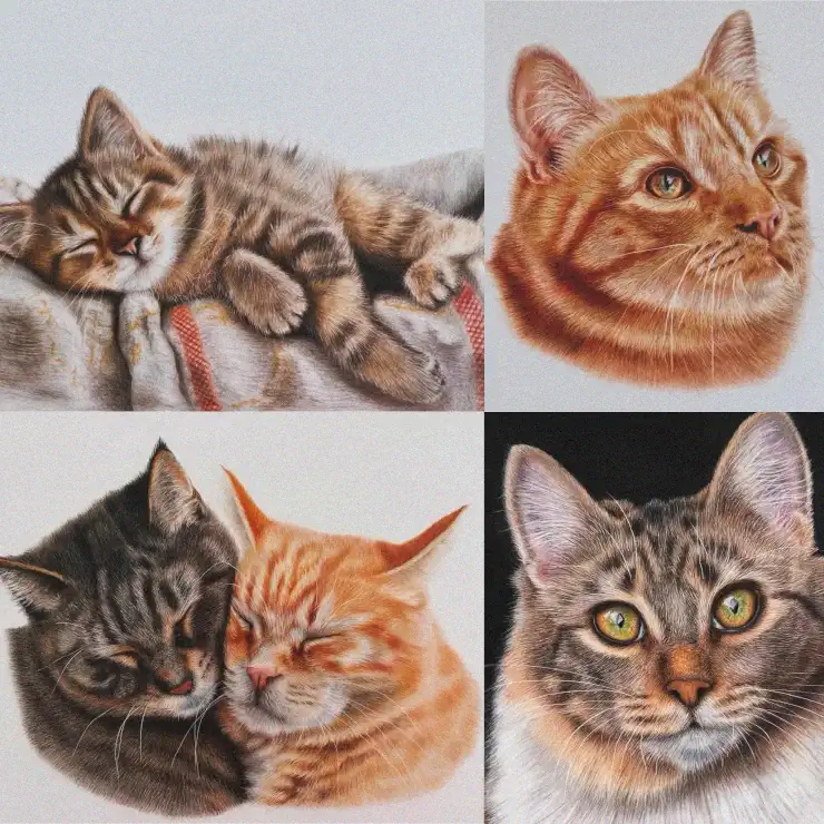 Cats Captured in Detailed Expressive Portraits