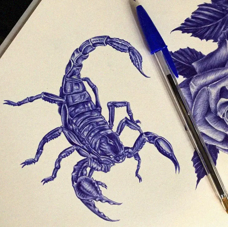 Scorpion Sketch in Blue Ink