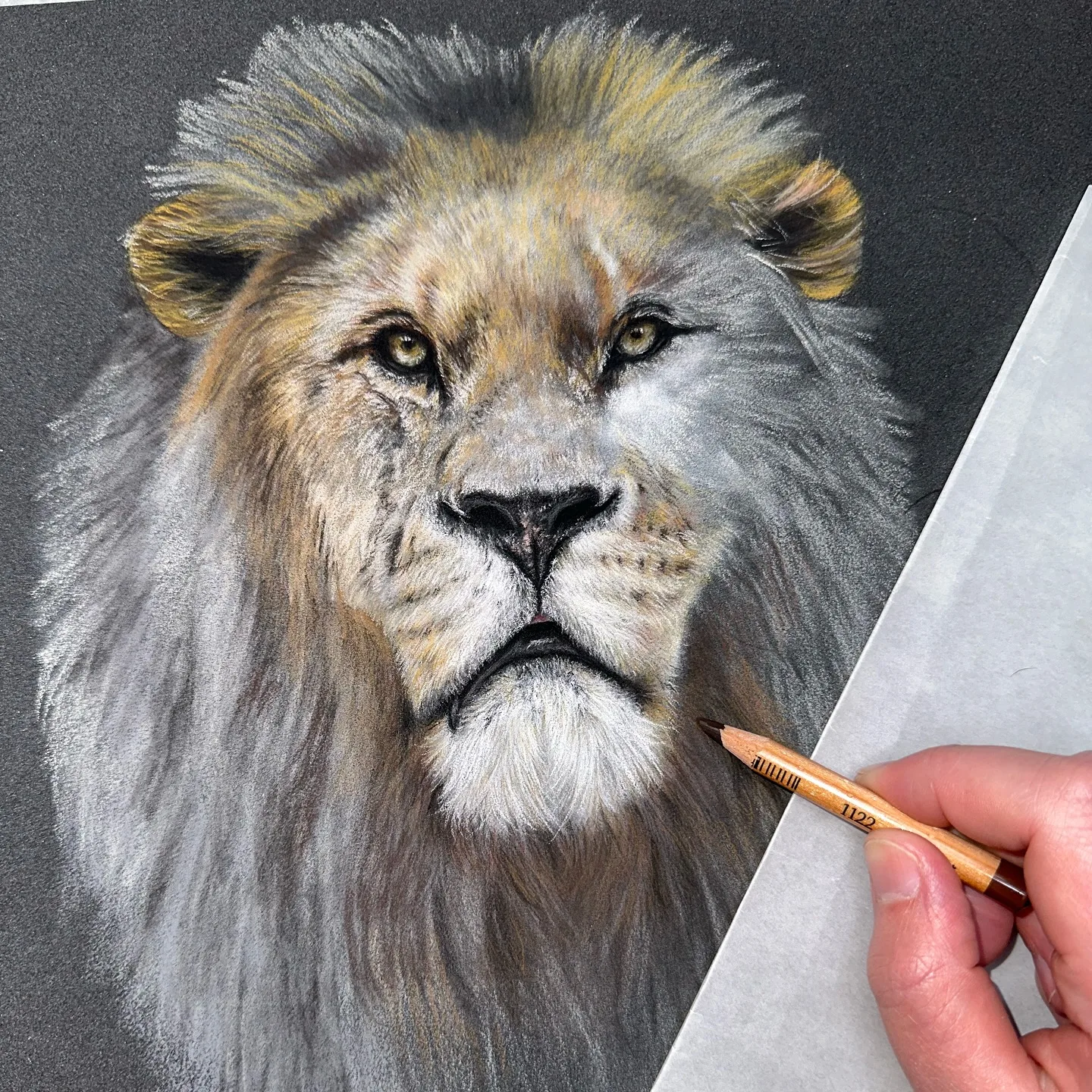 Crafting the Lion's Portrait in Shadows