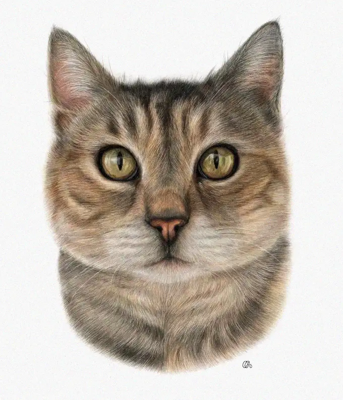 Vivid Feline Gaze in Yellow