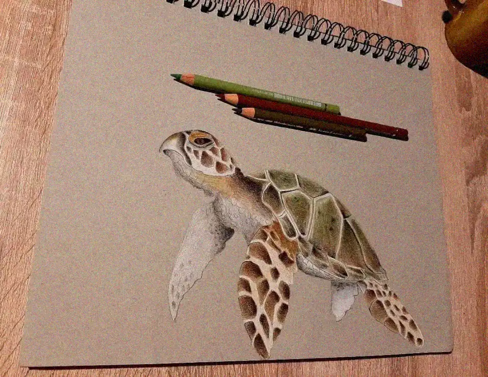 Sketchpad Sea Turtle in Vibrant Shades