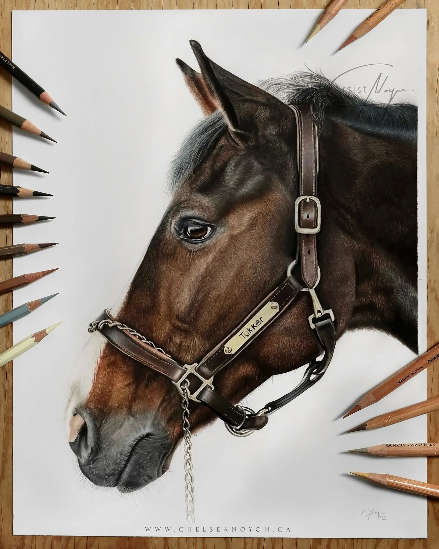 Artistic Detail in Equine Portraiture