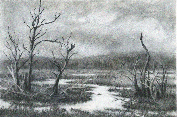 Desolate Waterscape in Charcoal Shadow
