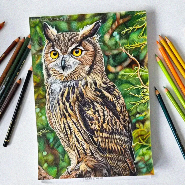 Creative Owl Sketch with Colored Pencils