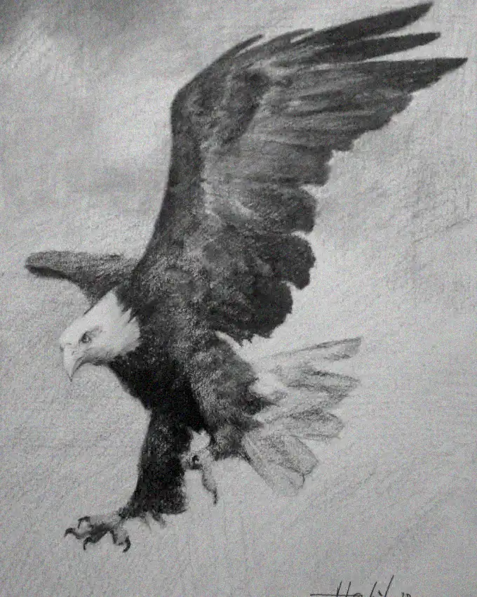 Eagle's Flight in Monochrome Majesty