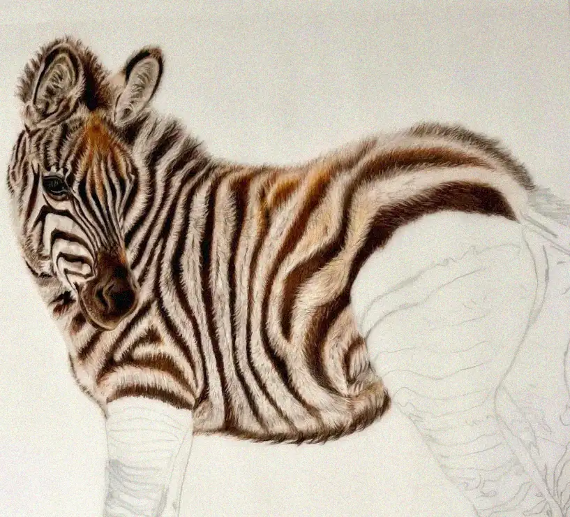 Unfinished Symphony in Zebra's Stripes