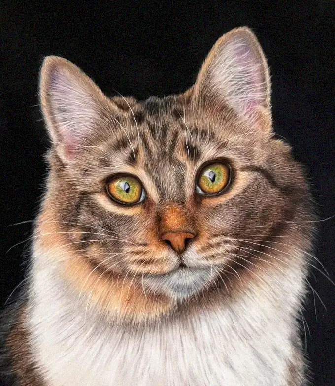 Vivid Gaze of a Multihued Feline