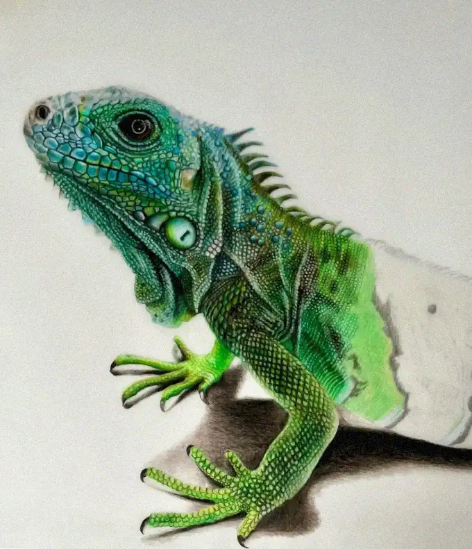 Vivid Iguana Through a Colorful Lens