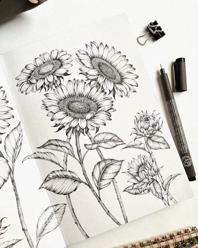 Sunflowers Under the Monochrome Touch