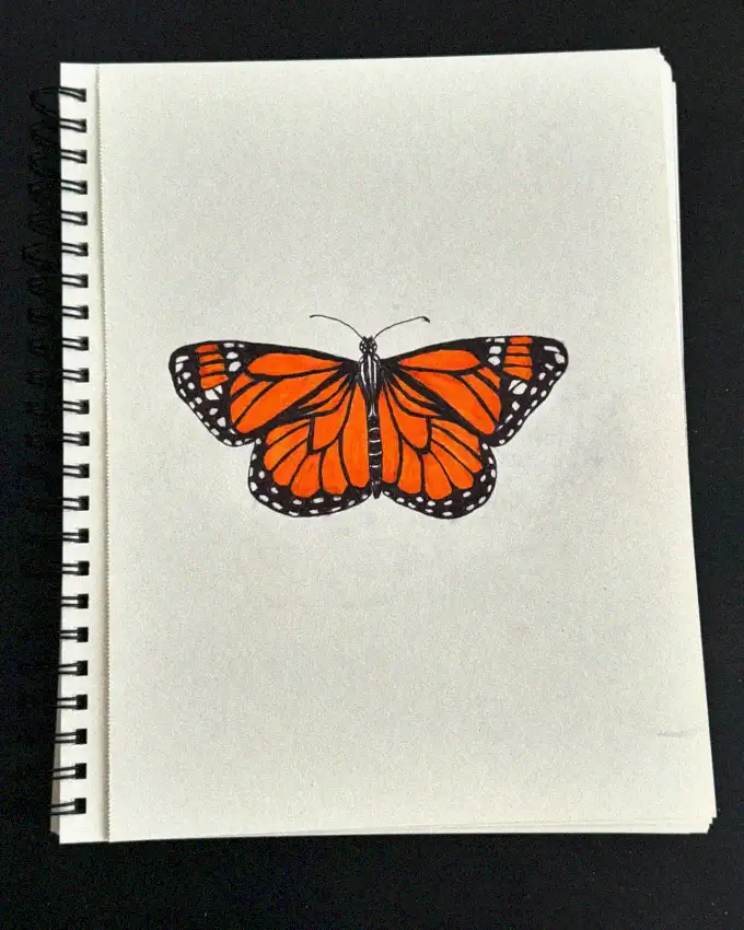 Butterfly Brilliance in Orange and Black