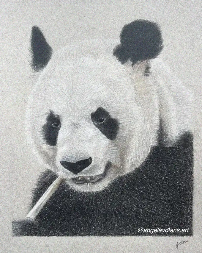 Panda's Poise in Monochrome Sketch