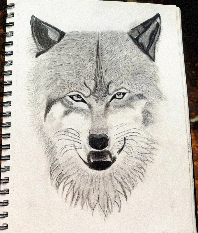 Wolf Portrait in Pencil Sketchbook